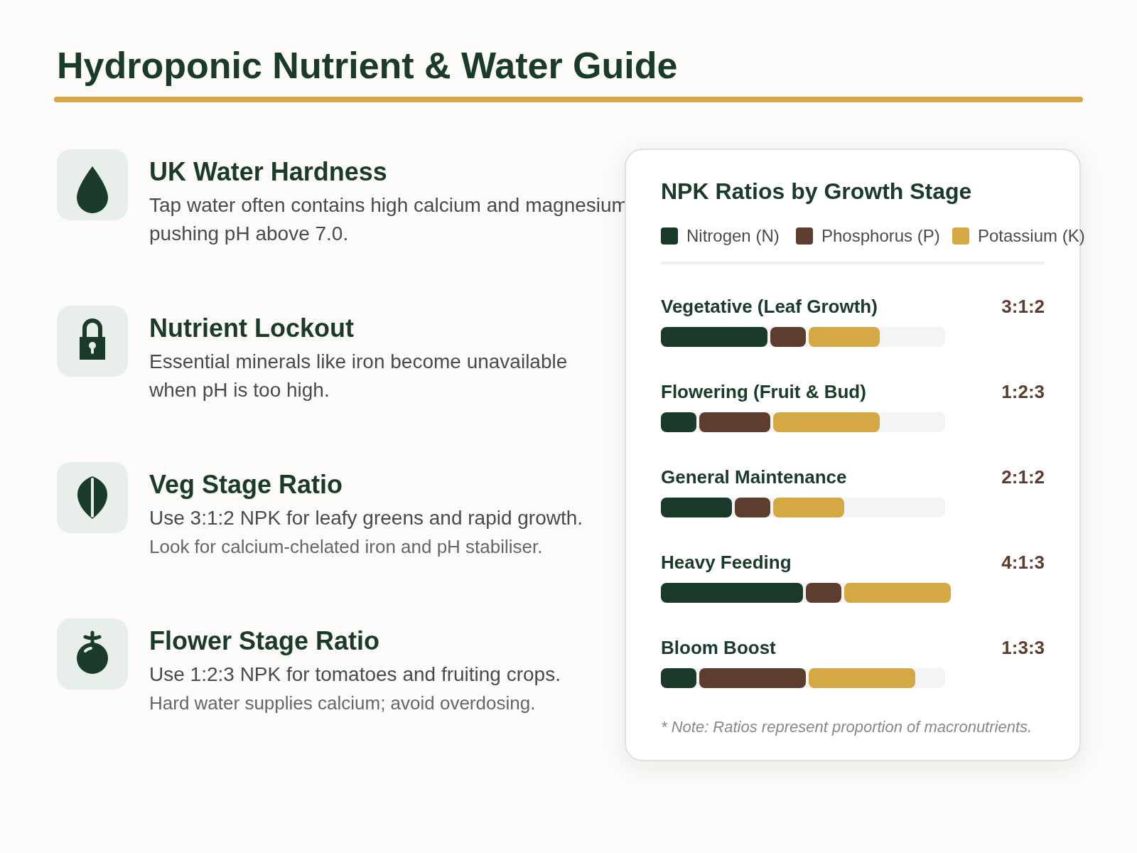 Data Visualization Infographic